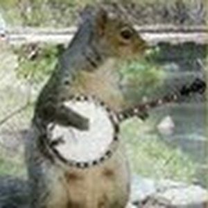 Meet your Posher, Drew